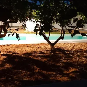 Villa Lemon Gold